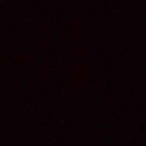 Meet your Posher, Daisy